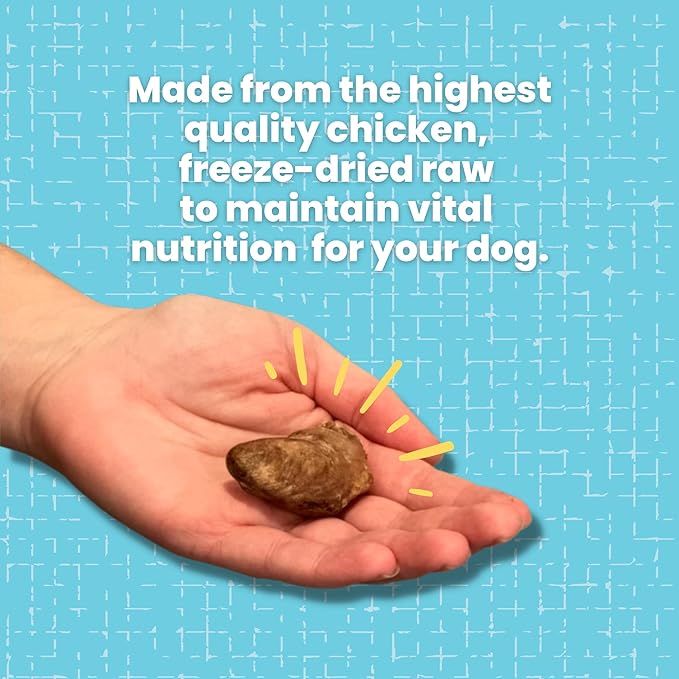 hotspot pets Freeze Dried Chicken Hearts for Cats & Dogs - 1LB BIG BAG -Resealable Bag- Single Ingredient All Natural Grain-Free - Made in USA - Perfect for Training, Topper or Snack (Chicken Hearts)