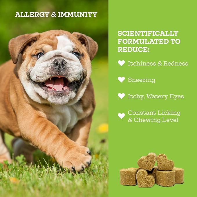 Moe’s Allergy and Immune Support for Dogs-Supports Anti-Itch, Seasonal Allergies & Immunity-Omega 3 Wild Alaskan Salmon Fish Oil - Dog Allergy Treatment, Skin Health- Made in USA- 90 Chews (Chicken)