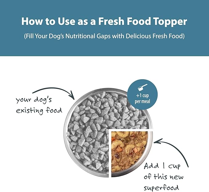 JustFoodForDogs Pantry Fresh Wet Dog Food, Complete Meal or Dog Food Topper, Turkey & Whole Wheat Macaroni Human Grade Dog Food Recipe - 12.5 oz (Pack of 6)