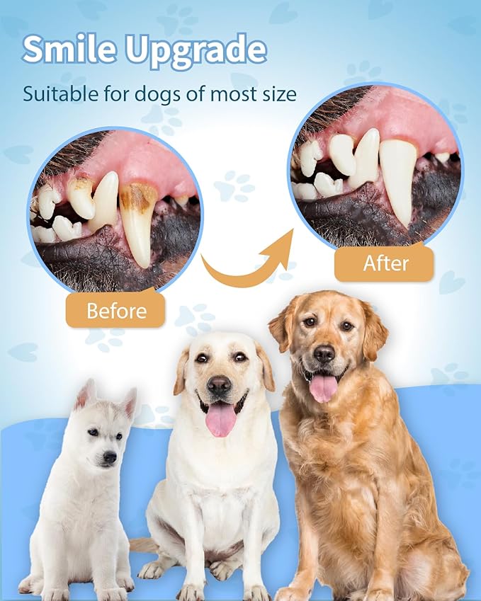 4 Pack Dog Toothbrush Kit, 360°Silicone Dog Finger Toothbrush for Gum Massage, Tongue Cleaning, Dog Tooth Brushing Kit with Storage Box, Pet Toothbrush for Dogs Cats Teeth Cleaning