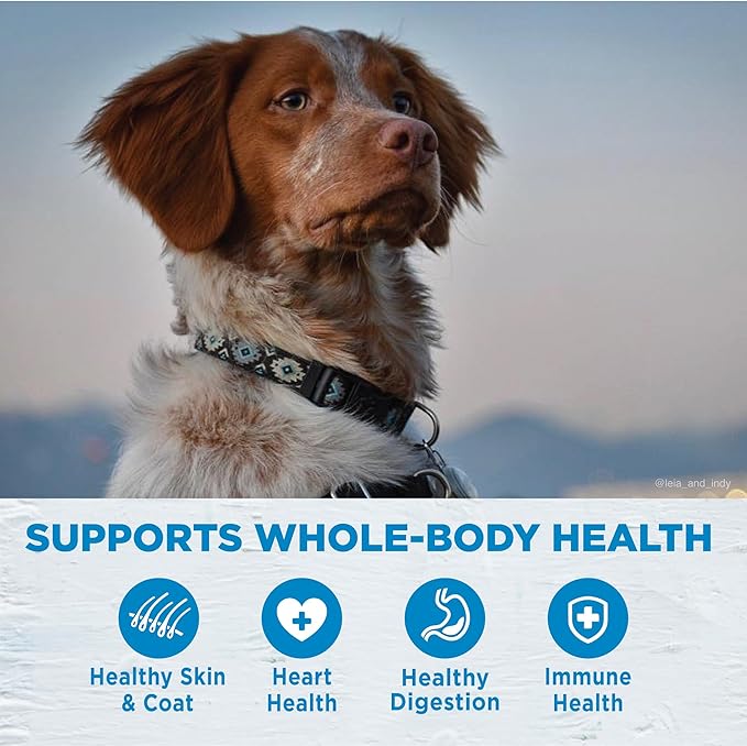 Wellness Simple Natural Limited-Ingredient Grain-Free Dry Dog Food, Easy to Digest for Sensitive Stomachs, Supports Skin & Coat (Lamb and Oatmeal, 26-Pound Bag)