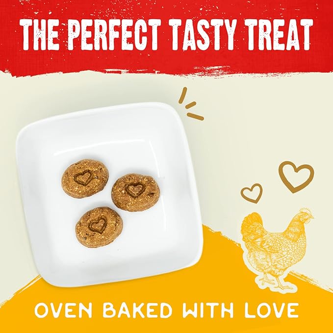 Stella & Chewy's Freeze-Dried Raw Coated Dog Biscuits – Cage-Free Chicken Recipe – Protein Rich, Grain Free Dog & Puppy Treat – Great Snack for Training & Rewarding – 9 oz Bag