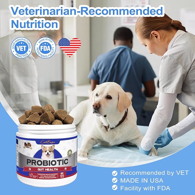 Probiotics for Dogs with 6 Digestive Enzymes, Anti Diarrhea, Aiding with Dog Upset Stomach, Pre and Probiotic Soft Chews for Dogs, Digestive Health Support Chicken Flavor 90 Count