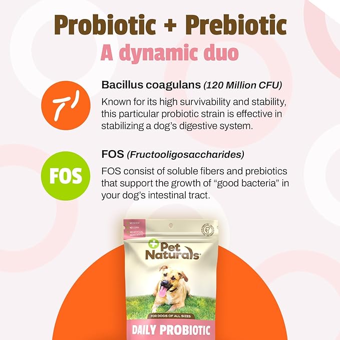 Pet Naturals Daily Probiotic for Dogs, 120M CFUs - Pre and Probiotics for Dogs Digestive Health, Gut Health, Immune Support, Diarrhea, Allergies and Itching - 160 Chews, Duck Flavor