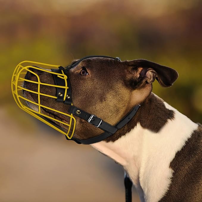 Pitbull Dog Muzzle Metal Mask Amstaff Secure Wire Basket Adjustable Durable Leather Straps for Large Dogs (Black)