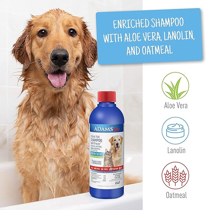 Adams Carpet Spray + Shampoo Bundle