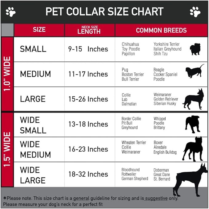 Buckle-Down Seatbelt Buckle Dog Collar - SCOOBY DOO Group Pose/Bones - 1" Wide - Fits 9-15" Neck - Small
