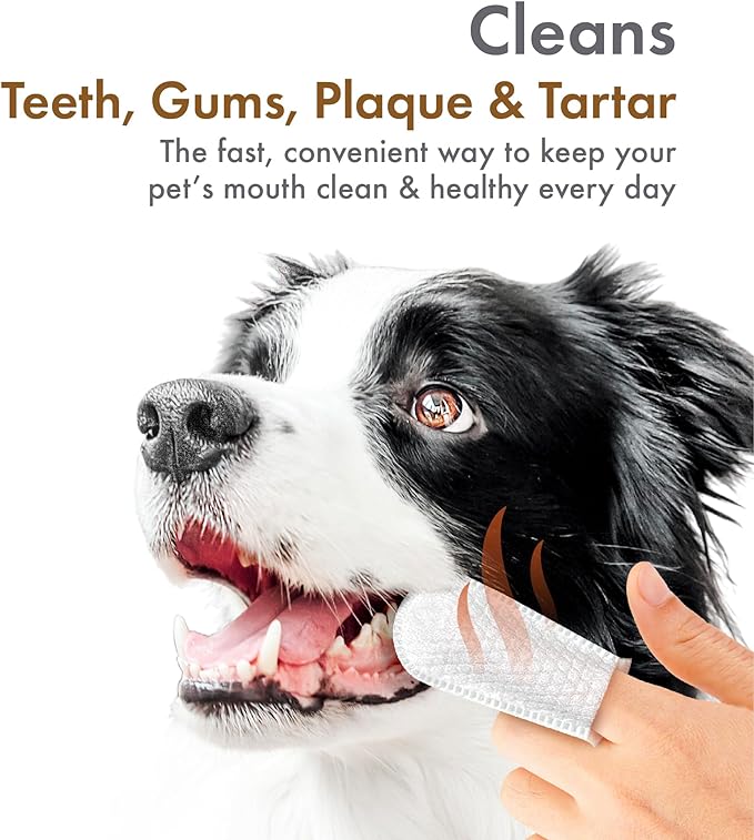 Petkin Fingertip Tooth Wipes for Dogs and Cats, 50 Finger Wipes - Slip-On, Snug Fit, Micro-Bristle Fabric - Cleans Teeth, Gums, Plaque & Tartar - Convenient, Ideal for Home and Travel - Peanut Butter