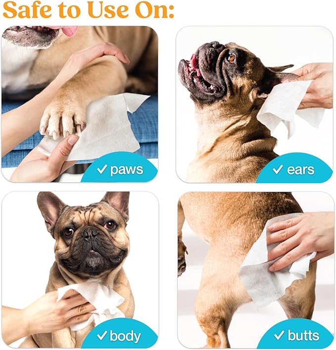 2-Pack Dog & Cat Pet Wipes, Cleans Pet Paws, Ears, Fur, Butt, & Anal Gland, No-Rinse Solution, Gentle, Deodorizing, Hypoallergenic - Unscented 100 ct