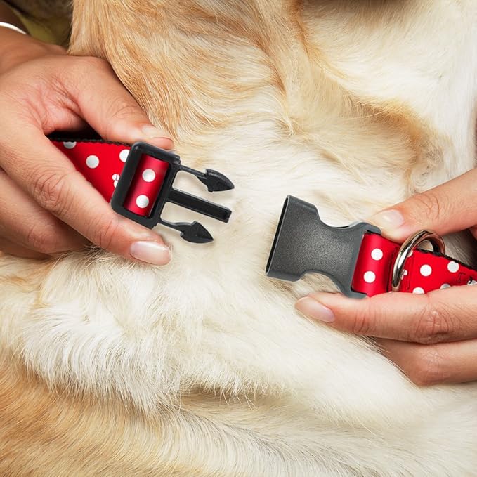 Buckle-Down Plastic Clip Collar - Minnie Mouse Polka Dot/Mini Silhouette Red/White - 1.5" Wide - Fits 18-32" Neck - Large