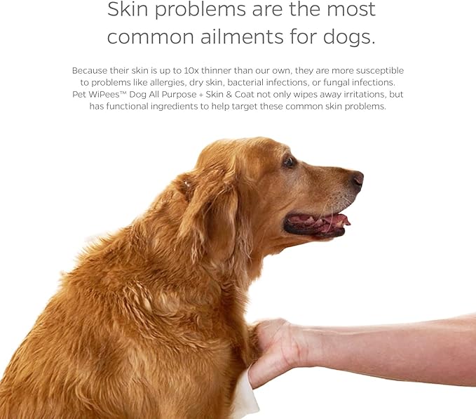 Pet Parents® Pet WiPees™ Dog All Purpose + Skin & Coat Pet Wipes, Pet Wipes for Dogs, Dog Wipes & Puppy Wipes, Paw Wipes for Dogs (100 Count (Pack of 4), Calming)