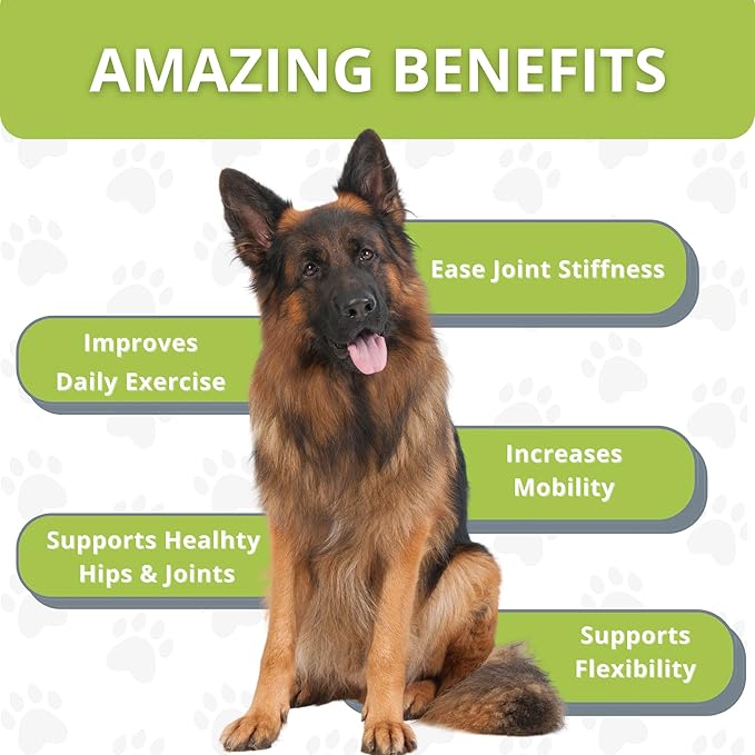 Premium Dog Joint Supplement with Glucosamine, Chondroitin, MSM, Omega 3 and 6 – Natural Dog Hip and Joint Supplement for Mobility – 90 Soft Chews