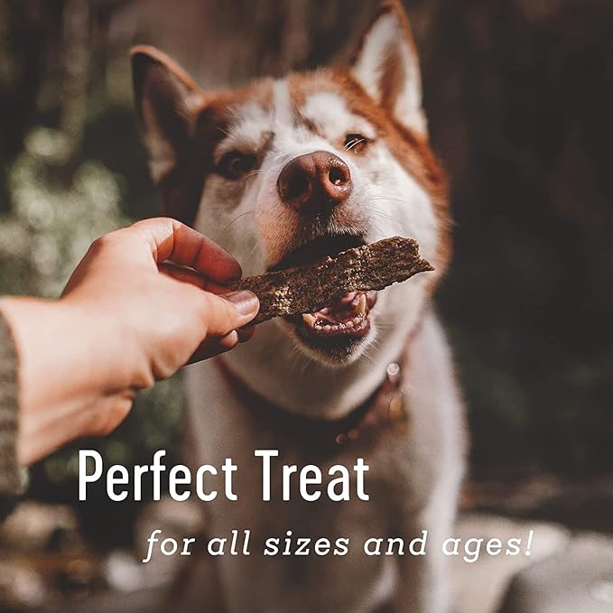 Farm Hounds Premium Natural Duck Treats for Dogs, 100% Made from Humanely-Raised Ducks, No Fillers Added, Nutrient-Rich Duck Jerky Dog Treats, Healthy Delicious Dog Strips, Made in USA, 2-Pack
