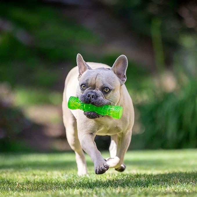 Hyper Pet DuraSqueaks Dog Toy Balls and Dog Chews (Squeaky Dog Ball For Interactive Play – Floating Dog Balls and Dog Toys) - Medium Stick