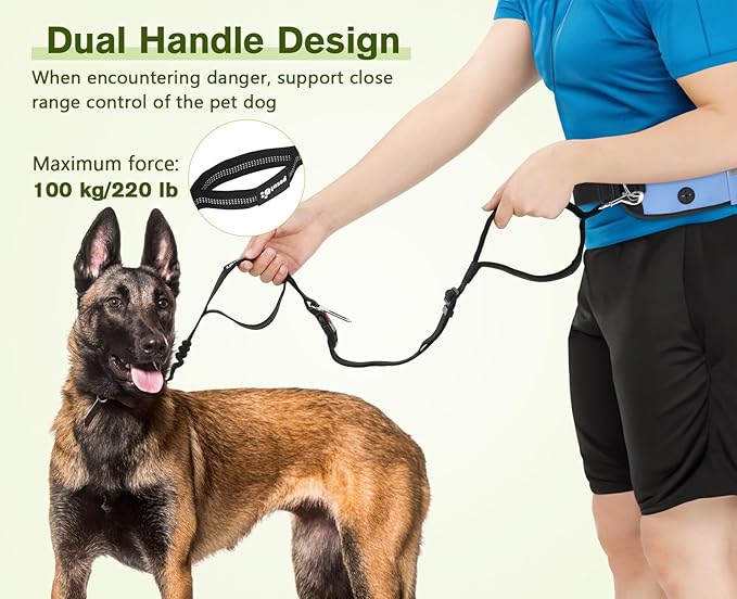 Pecute Hands Free Dog Leash with Pouch, Waist Belt Fanny Pack with Soft Pads, Dual Padded Handles, and Durable Bungee for Walking, Hiking, Jogging Biking, and Running (Up to 220lbs) Blue