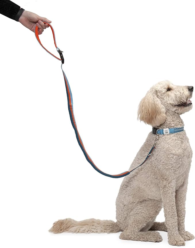 Furhaven Bungee Dog Leash w/ Quick Release Easy Tether - Sea Breeze Stripe, One Size