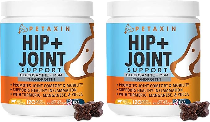 Glucosamine for Dogs - Advanced Hip and Joint Supplement for Dogs - Dog Joint Supplement for Joint Pain Relief and Mobility - Dog Glucosamine with Chondroitin, MSM, Turmeric - 240 Soft Chews