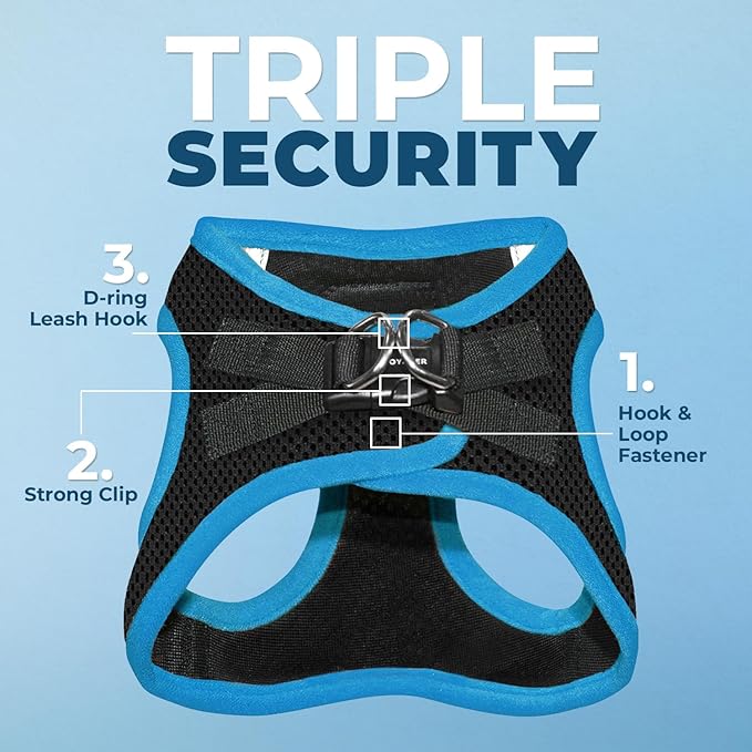 Voyager Step-In Air Dog Harness - All Weather Mesh Step in Vest Harness for Small and Medium Dogs by Best Pet Supplies - Blue Trim, Small