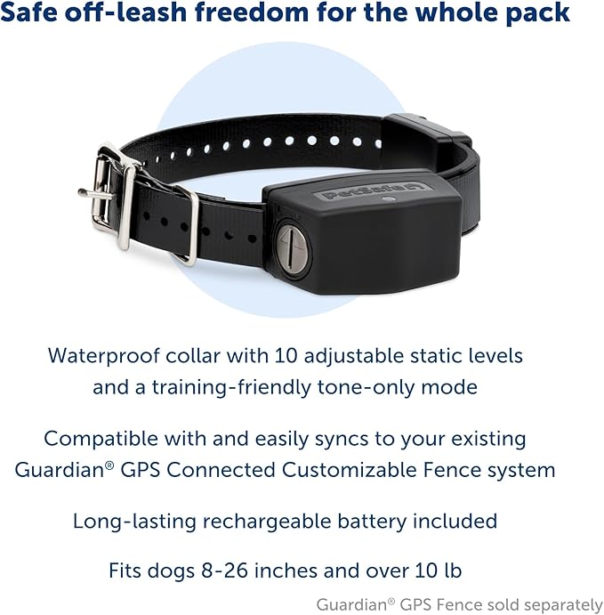 PetSafe Guardian GPS Add-A-Dog Collar - Waterproof, Add-On Dog Collar for Guardian GPS Connected Customizable Fence, 10 Static Levels and Tone, 3-Day Battery Life, Fits Dogs Over 10lb
