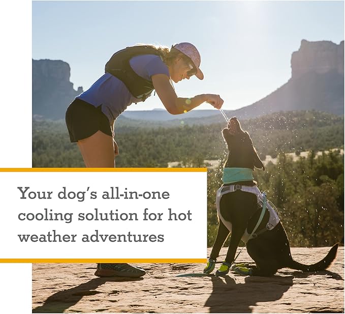 Ruffwear, Swamp Cooler Dog Harness, Lightweight with Evaporative Cooling for Hot Weather, Graphite Gray, Large/X-Large