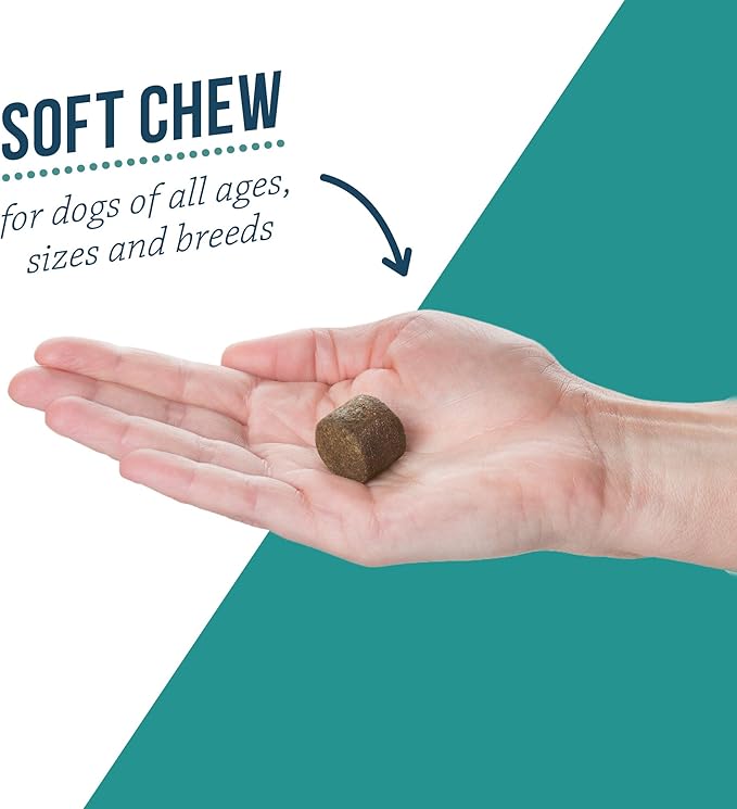 Elanco Alenza Soft Chews Aging Support for Dogs, 90 count, (86601710)