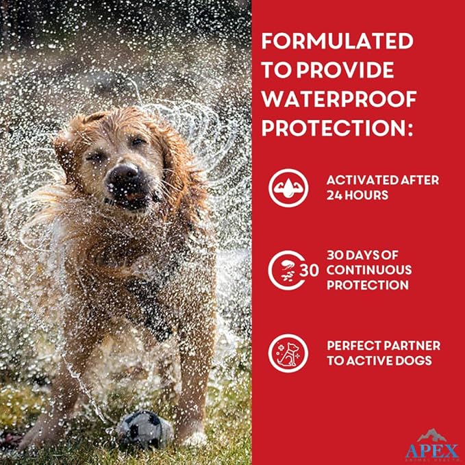 Apex Plus Flea and Tick Prevention for Dogs | X-Large (89-132 lbs) | 6-Month Supply | Dog Flea and Tick Treatment | 24-Hour Activation, Waterproof, 30-Day Protection