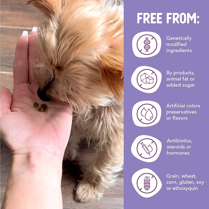 Health Extension Grain Free Little Bites for Dogs, Natural Food with Added Vitamins & Minerals, Perfect for Teacup, Toy & Small Dogs, Salmon & Sweet Potato Little Bites Recipe (3.5lb Bag)