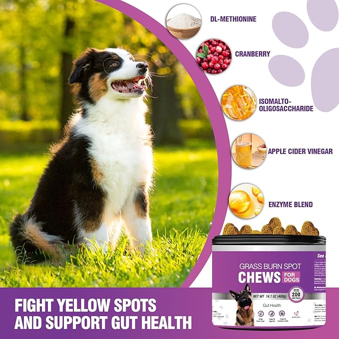 Grass Burn Spot Chews for Dogs Dog Pee Grass Neutralizer 200 Green Grass Dog Chews Dog Pee Lawn Spot Saver for Grass Burn Spots Dog Urine Neutralizer for Lawns with Probiotics Digestive Enzymes