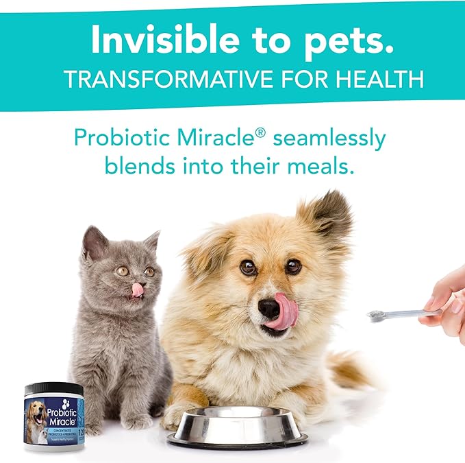Probiotics for Dogs -(360 Scoops)-Probiotic Miracle -Advanced, Species Specific Probiotics and Prebiotics to Stop Diarrhea, Loose Stool, and Yeast-Plus Immune Support