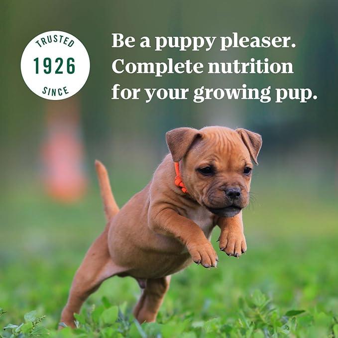 NUTRO PUPPY Grain Free Natural Wet Dog Food Bites in Gravy, Tender Chicken, Sweet Potato & Pea Recipe, 3.5 oz. Trays (Pack of 24)