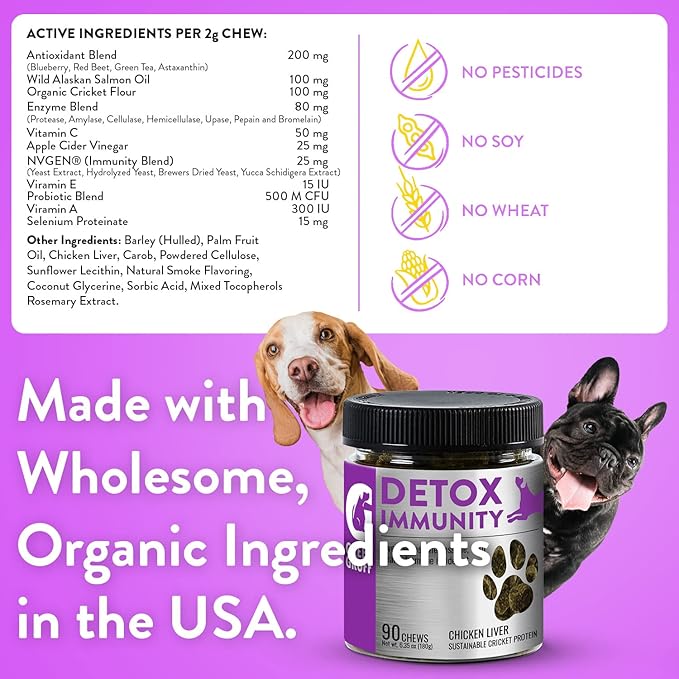 Green Gruff Dog Probiotics & Digestive Enzymes - Organic Dog Immune Supplement with Protein, Multivitamin & Omega 3 Fish Oil for Dogs - Made in USA - Dog Allergy Relief - Canine Probiotic - 90 Chews