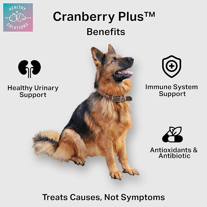 Cranberry Chews for Dogs - UTI, Bladder, Kidney, & Urinary Tract Support - Dog Health Supplements Contain Cranberry Extract, Echinacea, Vitamin C, and Astragalus Root - 60 Soft Treats