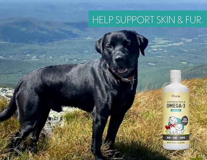 Camelina Oil for Dogs & Cats, 500mL by Olimega Farm | High in Omega-3 & Vitamin E | Support for Healthy Joints, Coat & Skin | Alternative to Salmon Oil for Dogs | Made in Canada | Non-GMO