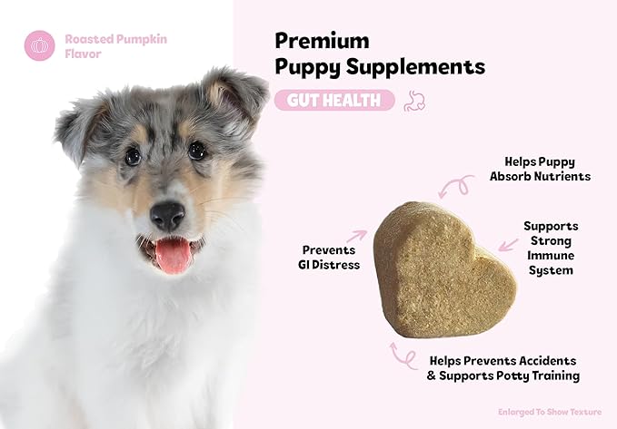 Puppy Bites by Snuggle Puppy, Gut Health, 60 Count Probiotic Supplement for Strong Immunity & Digestive Support for Puppies, Tasty Chew with Pumpkin, Mushrooms, Pectin, Dandelion & More