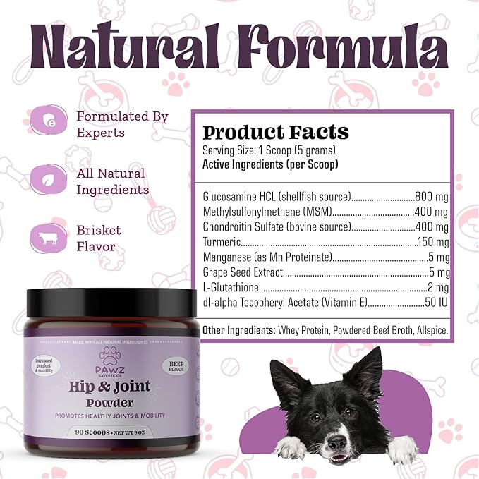 PAWZ Hip & Joint Supplement Powder for Dogs - 90 Scoops Brisket Flavor - Joint Mobility & Flexibility - Mussel, Glucosamine, Chondroitin, Msm, Vitamin E with Natural Flavors - Suitable for All Dogs