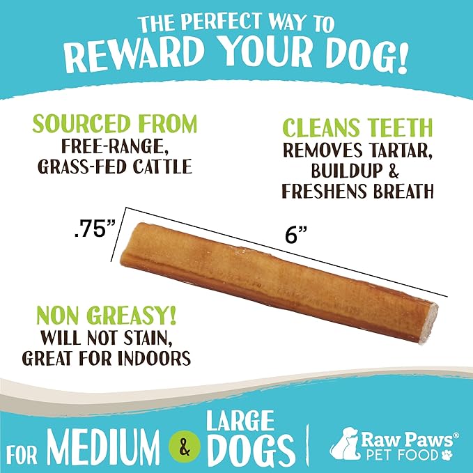 Raw Paws Jumbo Bully Sticks 6 inch, 5-ct - Extra Thick Bully Sticks for Dogs - Grass Fed, No Hormones, Free Range Cows - Pizzle Sticks for Dogs - Long Lasting Bully Bones for Aggressive Chewers