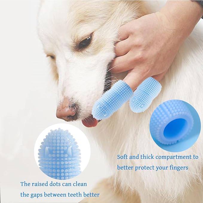 4 Pack Kit Dog Dental Cleaning Brushes,2 Pack Extra Soft Dog and Cat Dental Cleaning Brushes with Storage Box and 2 Pack Dog Finger Toothbrush for Dog Dental Care, Easily Clean Teeth(Transparent,Blue)