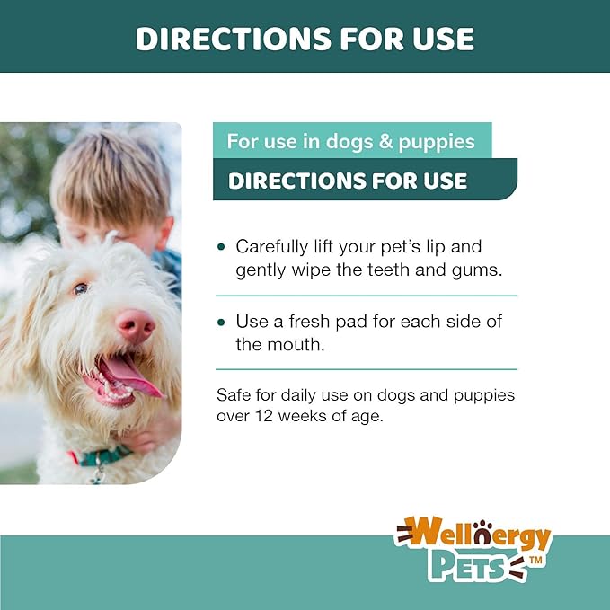 Dental Wipes for Dogs and Cats - No Brush Formula; Improve Oral Hygiene and Health; Freshen Breath; Fresh Mint Flavor. 100 Wipes.