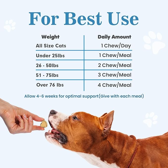 Probiotics for Dogs - Dog Probiotics for Gut Health & Digestive Health, Support Immune System, Diarrhea & Seasonal Allergies, Dog Supplement with Prebiotics & Digestive Enzymes, 180 Soft Chews