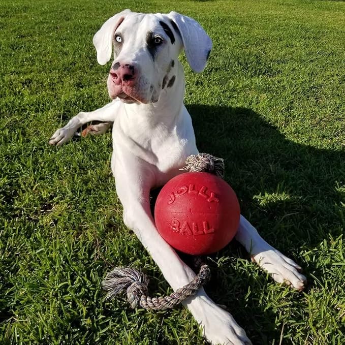 Jolly Pets Romp-n-Roll Rope and Ball Dog Toy, 8 Inches/Large, Red (608 RD)