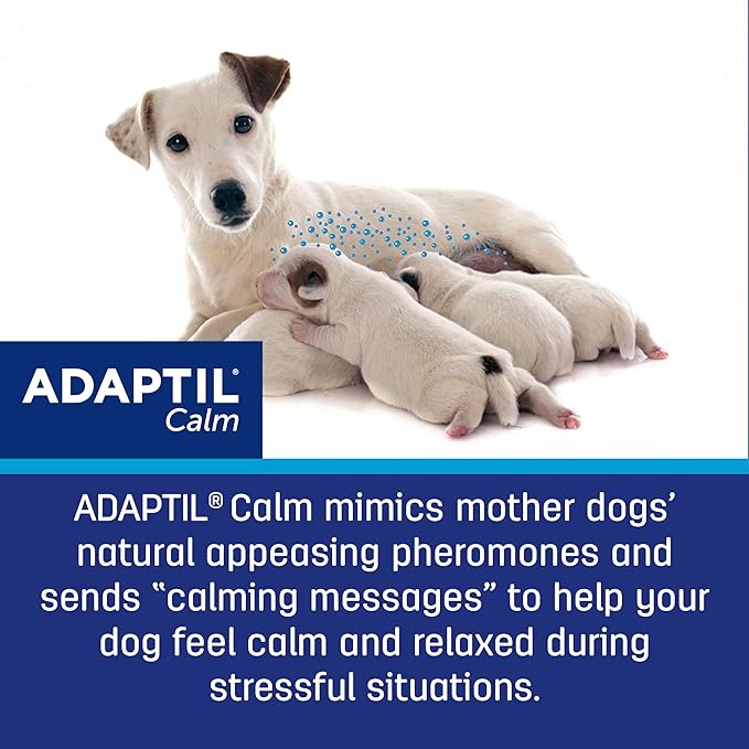 ADAPTIL Calming Pheromone Collar for Dogs, Small