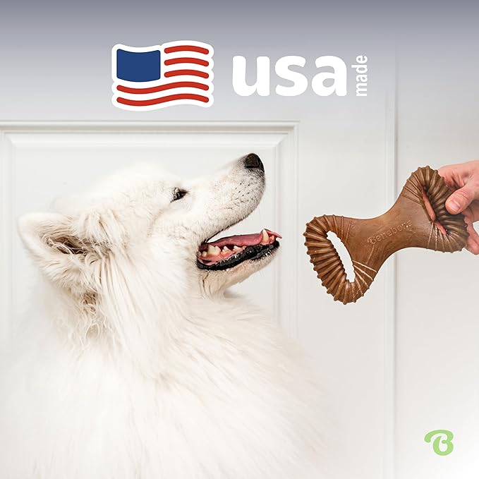 Benebone Dental Durable Dog Chew Toy for Aggressive Chewers, Real Bacon, Made in USA, Large