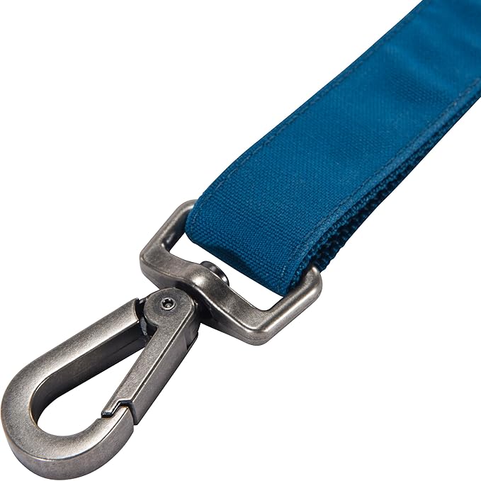 Carhartt Pet Durable Nylon Duck Leashes for Dogs, Reflective Stitching for Visibility, Marine Blue, Small