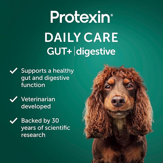 Daily Care Gut+ Digestive, 60 probiotic and postbiotic Dog Supplement Chews – Chicken and Carob Flavored