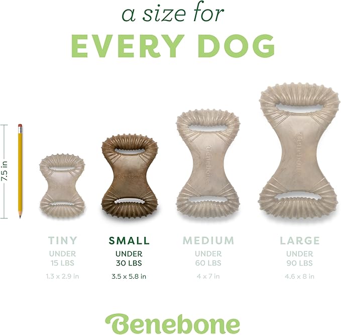 Benebone Dental Durable Dog Chew Toy for Aggressive Chewers, Real Bacon, Made in USA, Small