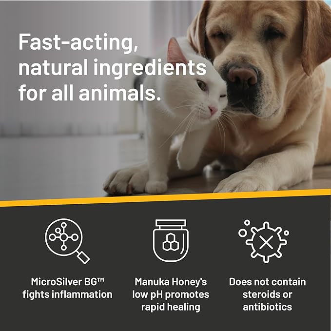Absorbine Silver Honey Rapid Ear Care Vet Strength Pet Wipes, 50ct, Manuka Honey & MicroSilver BG