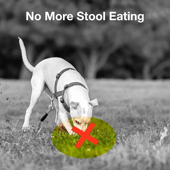Deter-X Dog Poop Eating Deterrent - Chew Treats for Poo Eating Prevention - Yucca, Parsley, Chamomile, Digestive Enzymes, Prebiotics, Probiotics for Dogs - Puppy & Dog Stuff - 60 Bites