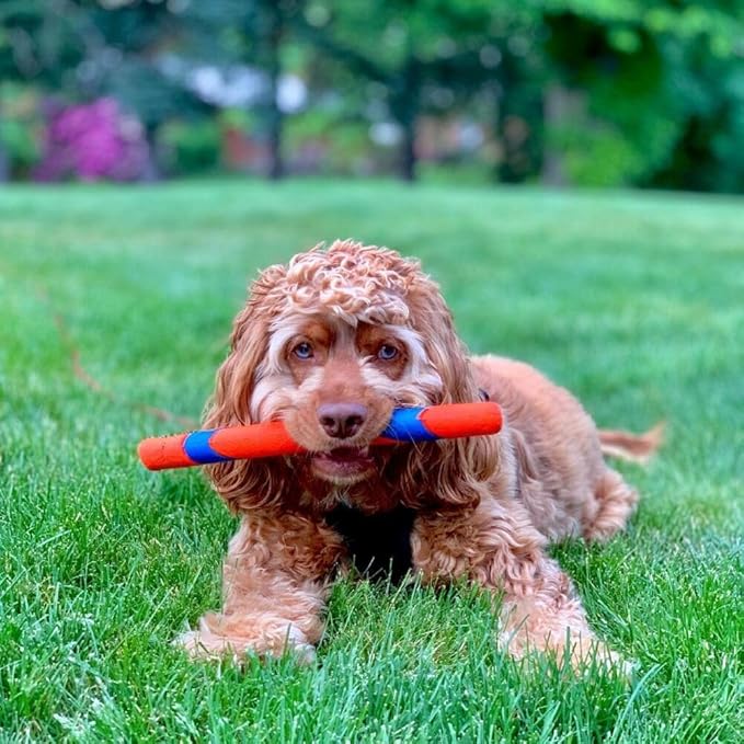 Chuckit! Fetch Toys for Dogs - Whistler, Glow and Rebounce Balls Plus Ultra Fetch Stick