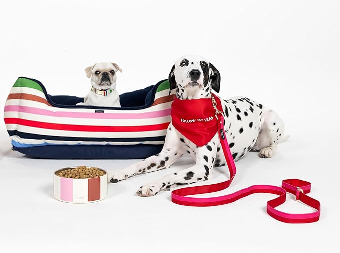 Kate Spade New York 4.5ft Dog Leash, Heavy Duty Leash for Female or Male Dogs, Cute Pet Leash with Gold Metal Hardware, Long Dog Lead for Small and Medium Breeds (Red and Pink)