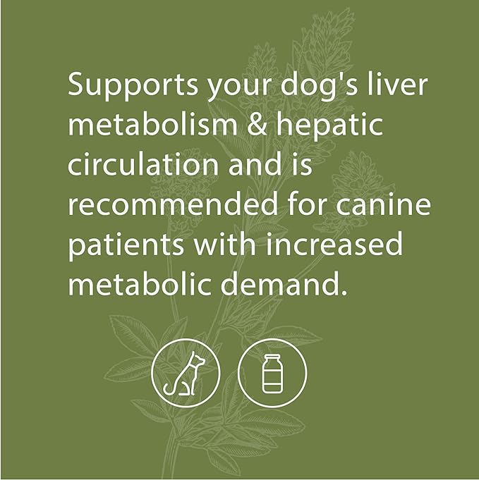 Standard Process - Canine Hepatic Support - Liver Metabolism Support for Dogs - 30 Grams